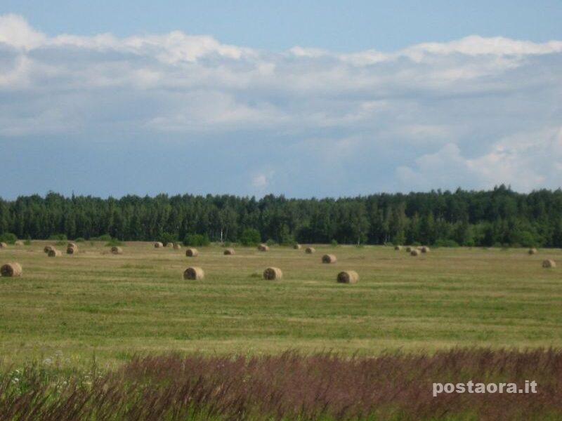 Vendo terreno agricolo vicino Braciano