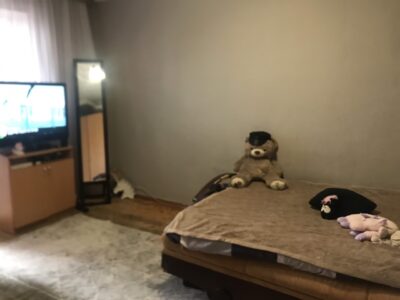 Affitto appartamento